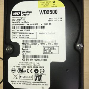 Western Digital 250GB  Hard Drive WD2500